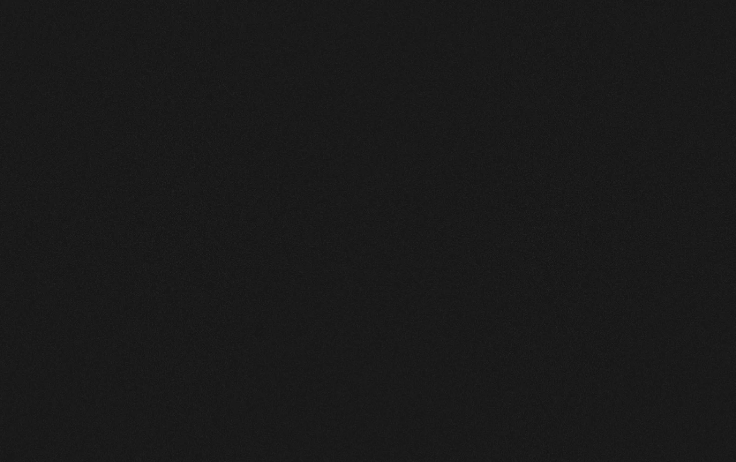 Vizcom 页面快照